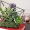 6.75" Green Artificial Succulent Arrangement in Diamond Metal Frame